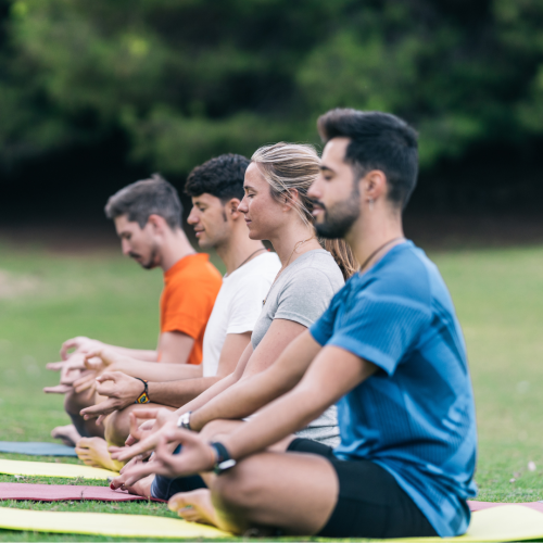 Initiation à la Pleine Conscience | Trans-Faire