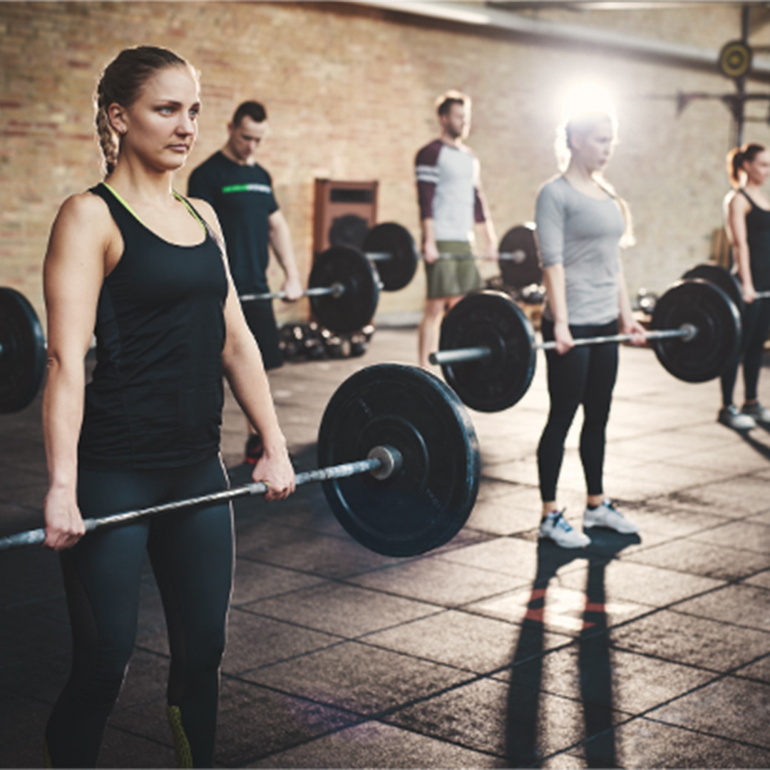 Haltérophilie en préparation physique | Trans-Faire